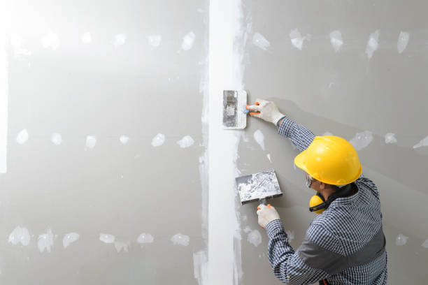 Best Post-Construction Mold Inspection  in Newburgh, IN